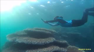 hoga free diving with lia mermide