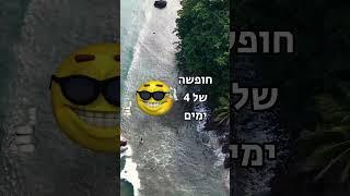 איך עצים במיינקראפט נראים בחיים האמיתיים? 