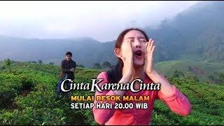 CINTA KARENA CINTA  Mulai besok