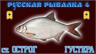 РР4 ОСТРОГ ГУСТЕРА ТРОФЕЙ РУССКАЯ РЫБАЛКА 4 ГУСТЕРА СТАРЫЙ ОСТРОГ  RUSSIAN FISHING 4 WHITE BREAM