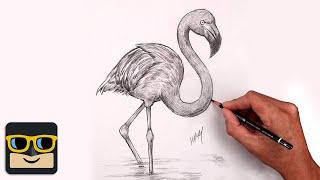 How To Draw a Flamingo  Sketch Tutorial