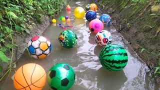 Lempar bola dan belajar jenis bola di irigasi sawahbola sepakbola basketbola karakterbola warna.