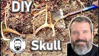  DIY Clean Deer Skull  How to European Skull Mount  Make Nice Skull Mount l Teach a Man to Fish