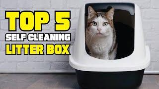 Best Self Cleaning Litter Box Reviews 2024  Best Budget Self Cleaning Litter Boxs Buying Guide