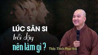 Lúc sân si trỗi dậy ta nên làm gì ? Thầy Thích Pháp Hòa