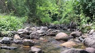 Small summer stream.. Relaxing water sound bird songs.. Nature and forest meditation deep sleep..