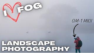 Fog is the Best Ingredient for Landscape Photography  OM System OM-1 mkII