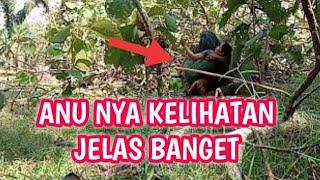 SUKU MANTE KEGIRANGAN KALAU JUMPA CEWEK CANTIK