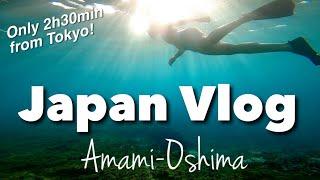 【Japan Vlog】Island Travel Guide  Easy Access from Tokyo  Amami-Oshima