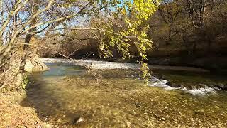 Golden autumn and a Mountain River with Beautiful Sounds of Nature