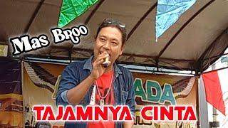 TAJAMNYA CINTA cover MAS BROO OLALA with ALVI NADA