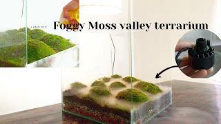 how to make a foggy moss valley terrarium with a mist maker  paludarium aquaterrarium