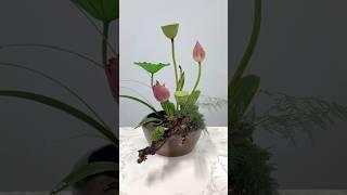 Lotus Chinese flower arrangement different beauty #floral #Lotus #flowerarrangement #shortvideo