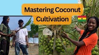 How to start a successful coconut farming in Ghana and make millions Experts Advice on Seedlings