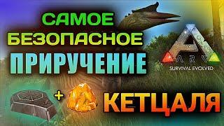 САМОЕ БЕЗОПАСНОЕ ПРИРУЧЕНИЕ КЕТЦАЛЯ в ARK Mobile  ark survival evolved Арк Мобайл #ark #arkmobile