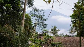 jalan sore ngabuburit di kampung  view pedesaan & gunung gede