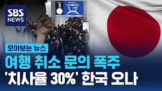 여행 취소 문의 폭주…치사율 30% 한국 오나  SBS  모아보는 뉴스