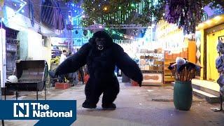 Gorilla costume dancers go viral in Egypt