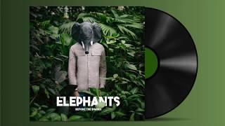 The Elephants - Along The Line