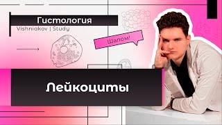 Гистология  ЛЕЙКОЦИТЫ