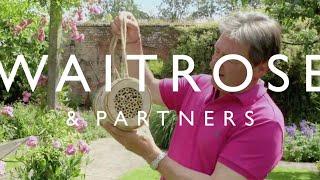 How to Encourage Bees into your Garden with Alan Titchmarsh  Waitrose & Partners