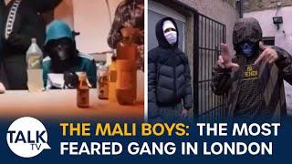 The Mali Boys How London’s Most Feared Gang Run Drugs Guns And Violence Across The Capital