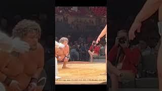 Sumo Japan vs usa