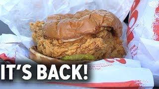 Popeyes fried chicken sandwich is back