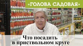 Голова садовая - Что посадить в приствольном круге