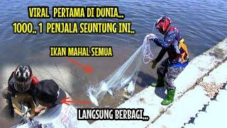 JALA IKAN DI SUNGAI MUARA 1000 SATU PENJALA SEUNTUNG INI