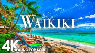 WAIKIKI NATURE in 4K UHD Drone Film + Relaxing Piano Music for Stress Relief Sleep Spa Yoga Cafe