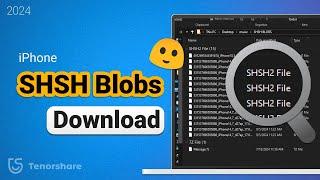 How to Download SHSH Blobs for iPhone Downgrade? - iOS 18171615  2024