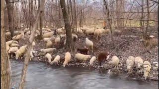 Life in a Village - North Macedonia