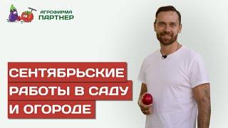 РАБОТЫ НА УЧАСТКЕ В СЕНТЯБРЕ СБОР И ДОЗАРИВАНИЕ ОВОЩЕЙ УХОД ЗА МНОГОЛЕТНИМИ РАСТЕНИЯМИ