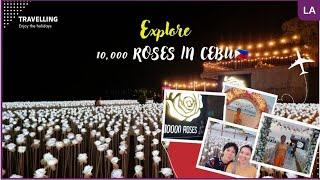 10000 Roses in Cebu City Philippines