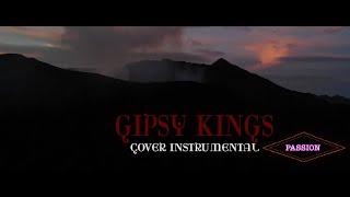 Gipsy Kings Passion spectrum