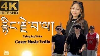 2024 NEW TIBETAN COVER MUSICNYING JAY WALAརྙིང་རྗེ་བ་ལ།TIBETAN VLOGGERTIBETAN SONGBIR