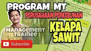 Program Management Trainee MTdi Perusahaan Perkebunan Kelapa Sawit