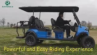 High Performance Quality golf cart cargo