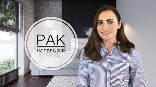 ВАЖНО РАК. Гороскоп на НОЯБРЬ 2018  Алла ВИШНЕВЕЦКАЯ