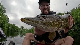 Pushaw Stream Northern Pike Catch