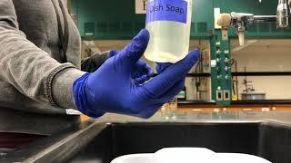 Washing Glassware in Chemistry labs at GVSU