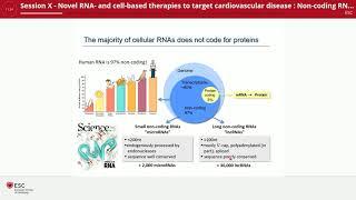 Non coding RNA targeting therapies