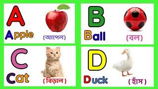 Learn Alphabet A To Z  English Alphabet With Life Example  ABC Preschool  A to Z acbd Video