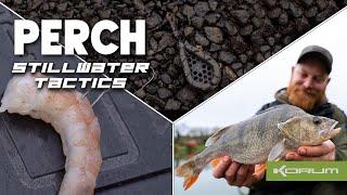 Still water Perch tactics - White Springs Fishery #perch #Perchfishing #korum