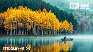 Experience the World’s Top Landscapes in 8K HDR  Dolby Vision™