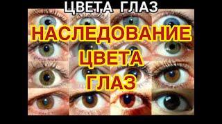 Наследование цвета глаз. Какой цвет глаз будет у вашего будущего ребенка?