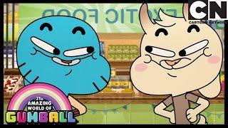 Imitation Is The Sincerest Form Of Flattery  The Copycats  Gumball  Cartoon Network