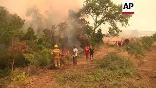 Grecia Se reaviva incendio al norte de Atenas