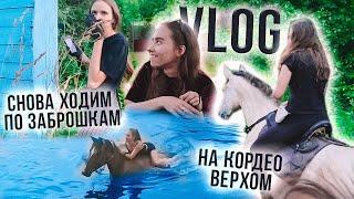 VLOG Конника  КОННАЯ ПРОГУЛКА с Лошадьми на Речке заброшка